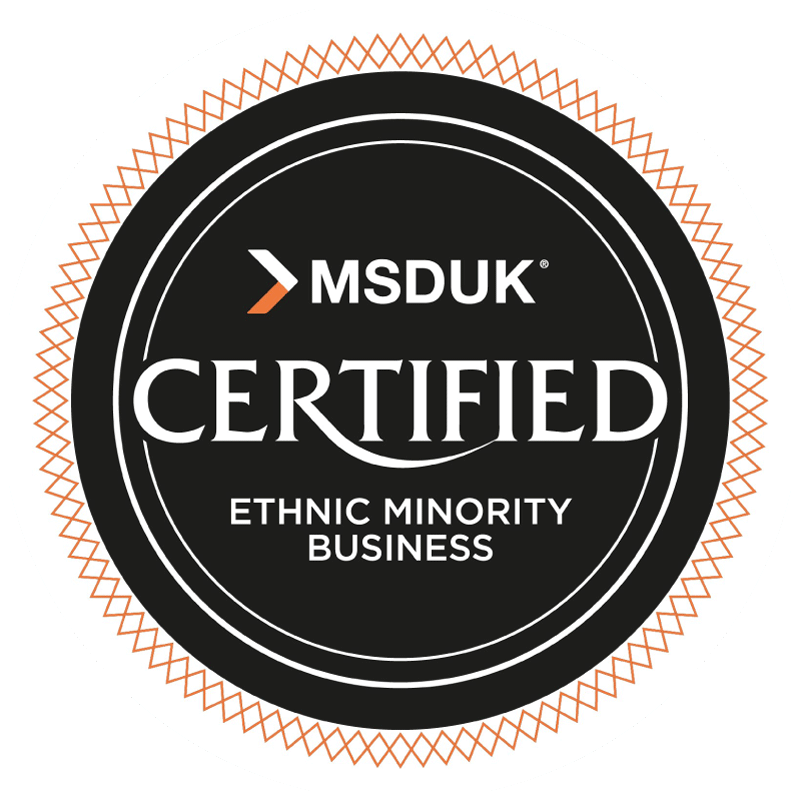 ethnic minority owned business